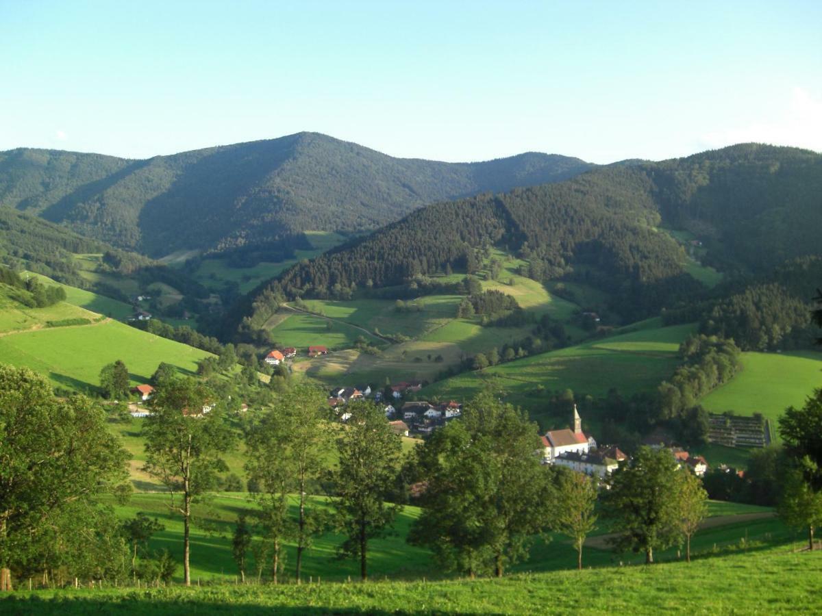 Weitblick "Entspannen - Wohlfuehlen - Aktiv Erholen" 埃尔察赫 外观 照片