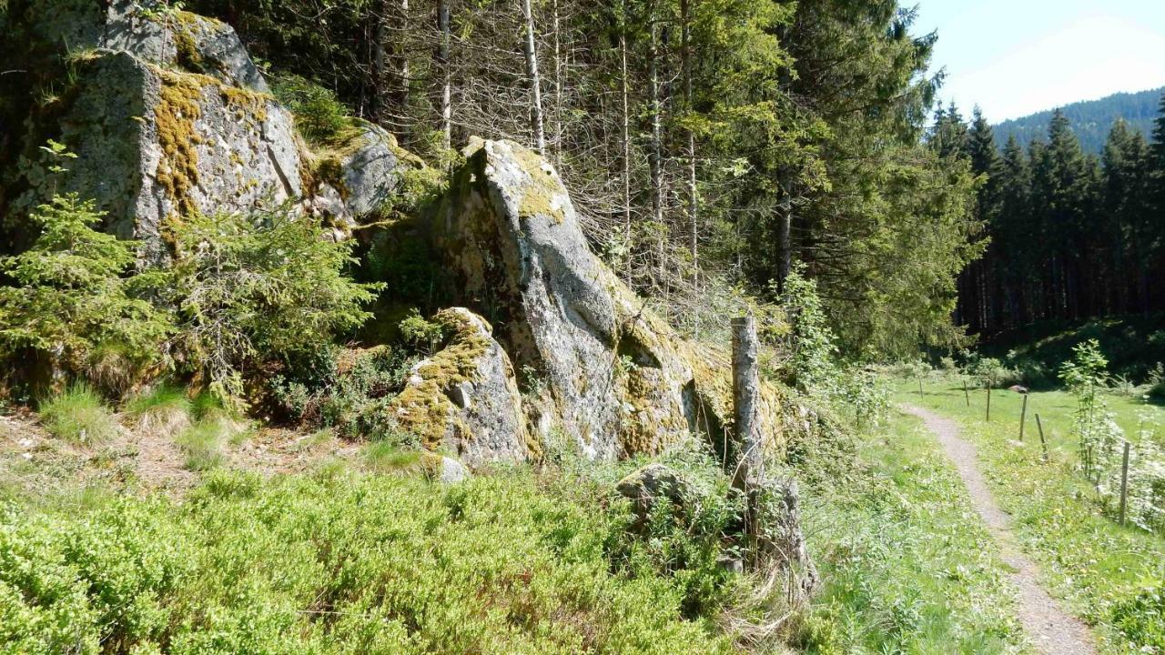 Weitblick "Entspannen - Wohlfuehlen - Aktiv Erholen" 埃尔察赫 外观 照片